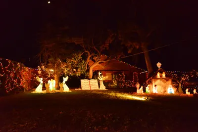 DSC_5805 (Large).JPG